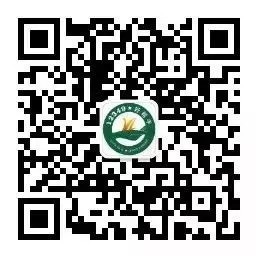 圖片8.png 圖片8.png